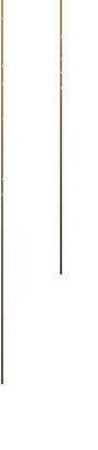 厳選された食材本来の旨み