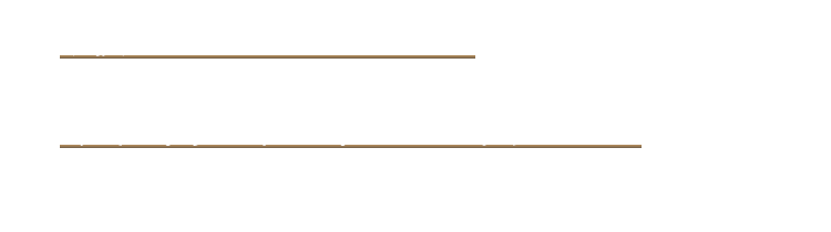 厳選された食材本来の旨み